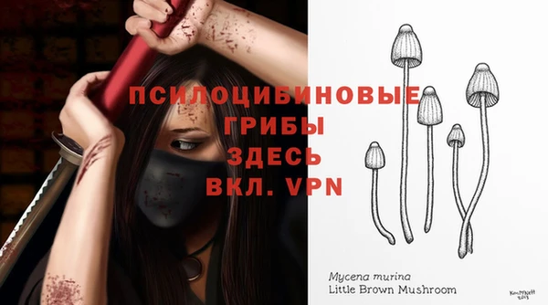 амф Навашино