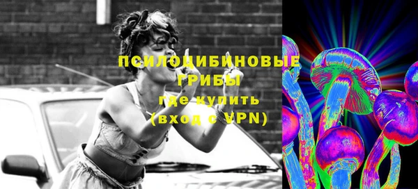 ешки Медвежьегорск