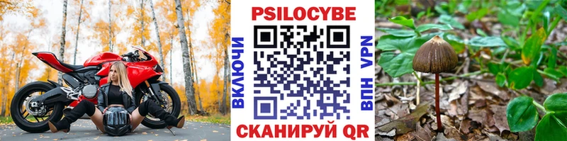 цена   blacksprut онион  Галлюциногенные грибы прущие грибы  Холм 